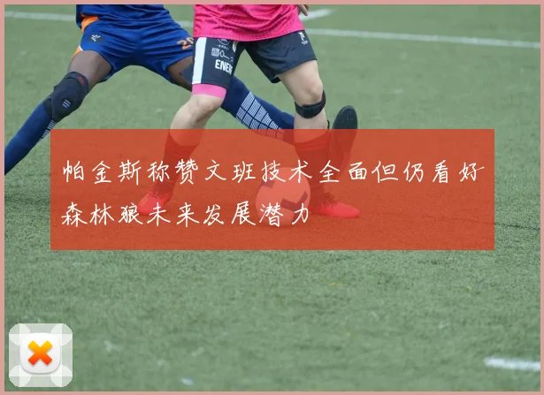 帕金斯称赞文班技术全面但仍看好森林狼未来发展潜力